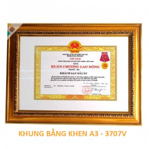 Khung bằng khen A3 -3707 Vàng