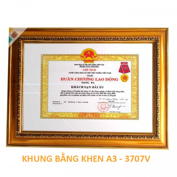 Khung bằng khen A3 -3707 Vàng